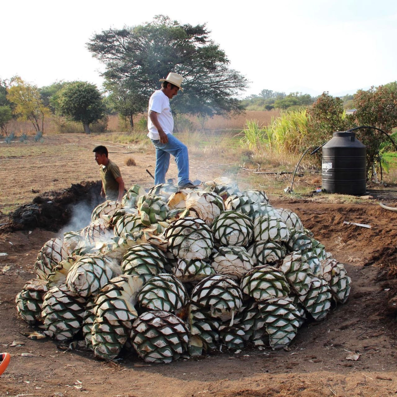 Gallery Image of Del Maguey Vida Clàsico